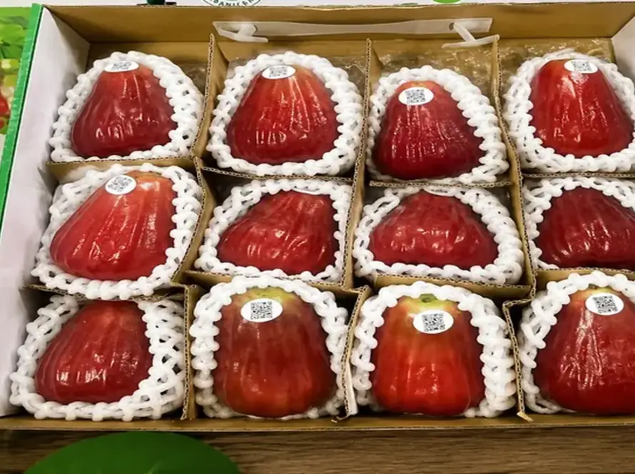 mận sân tiên đóng hộp quà sang